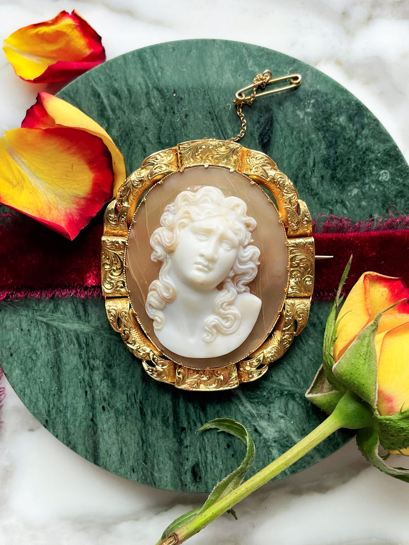 18k Victorian Shell Cameo Brooch